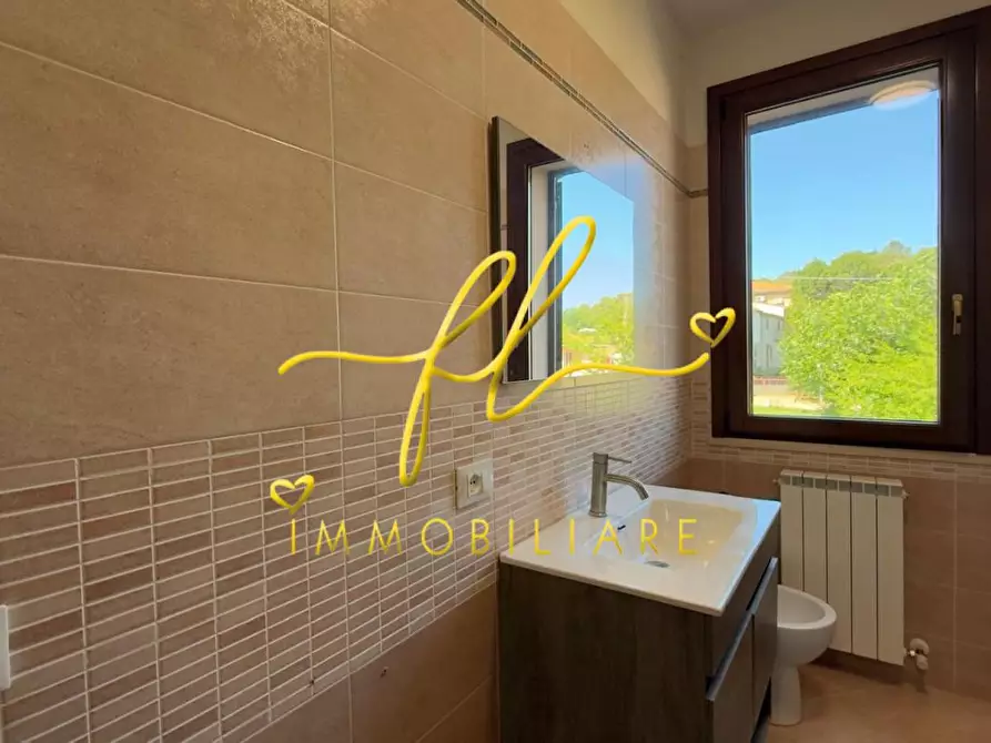 Immagine 20 di Appartamento in vendita  a Rosignano Marittimo