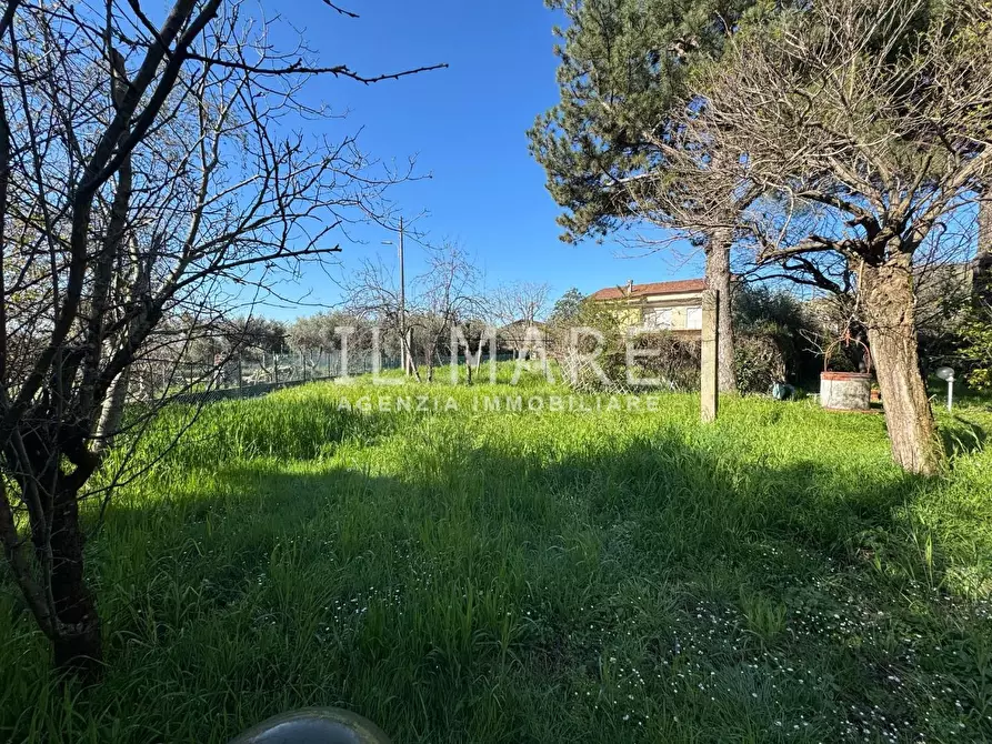 Immagine 15 di Casa indipendente in vendita  a Massa