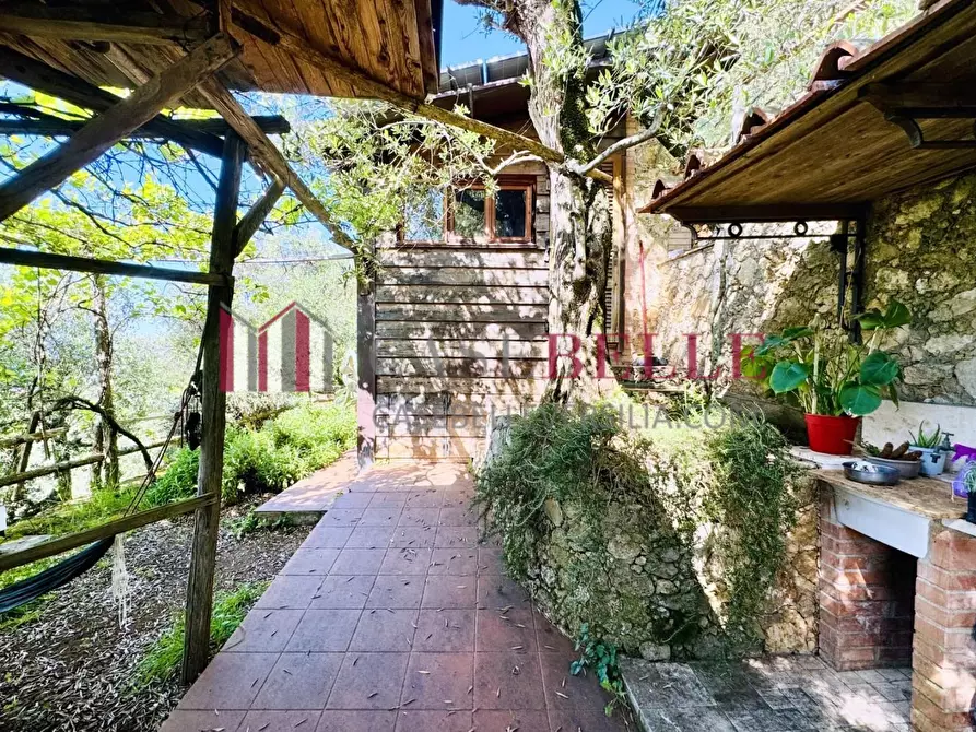 Immagine 56 di Casa colonica in vendita  a Camaiore