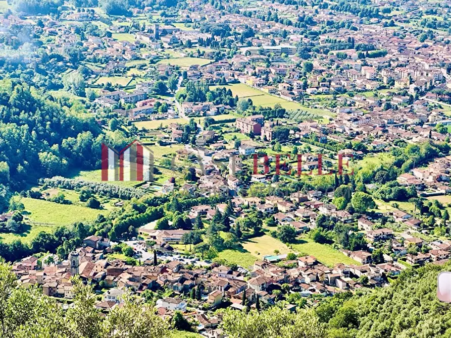 Immagine 3 di Casa colonica in vendita  a Camaiore