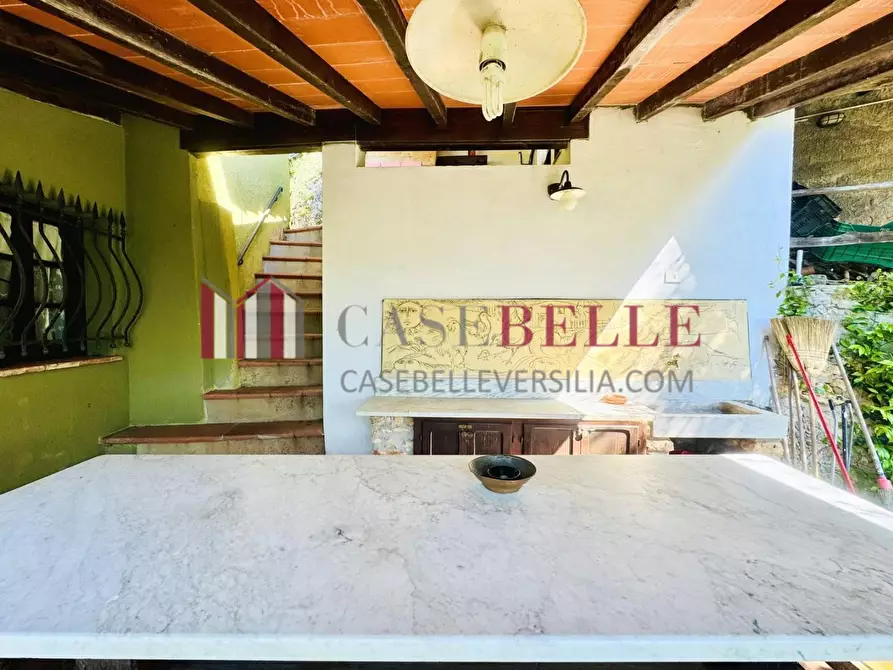Immagine 50 di Casa colonica in vendita  a Camaiore