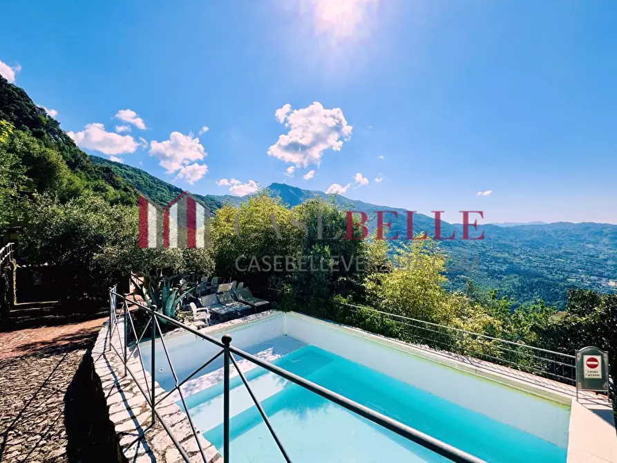 Immagine 47 di Casa colonica in vendita  a Camaiore