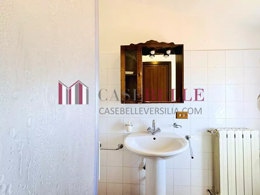 Immagine 37 di Casa colonica in vendita  a Camaiore