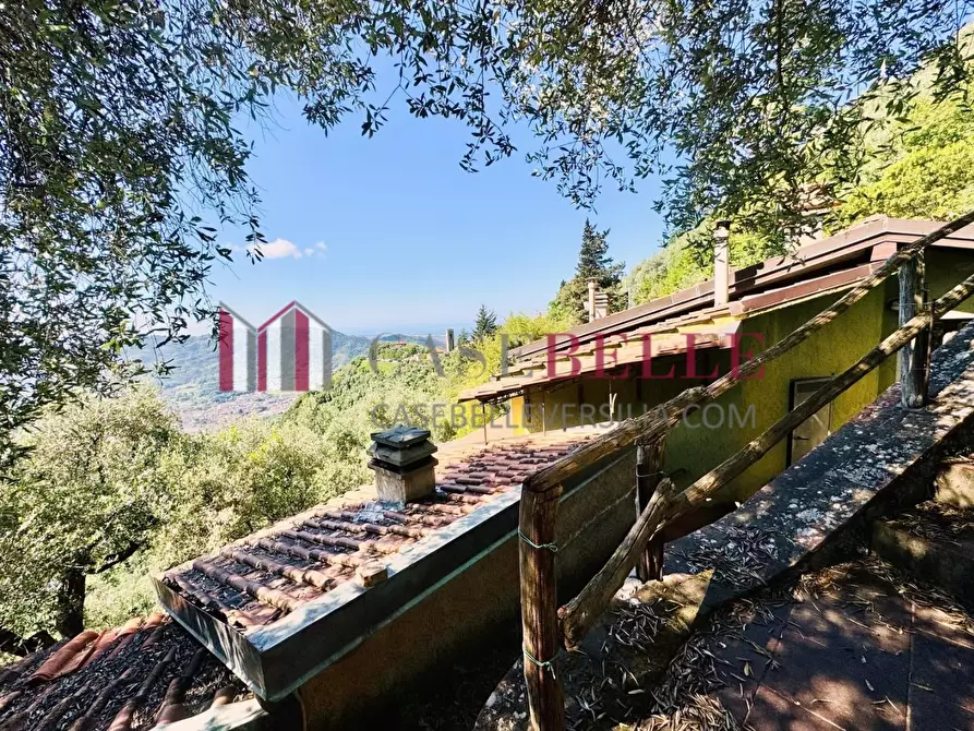 Immagine 55 di Casa colonica in vendita  a Camaiore
