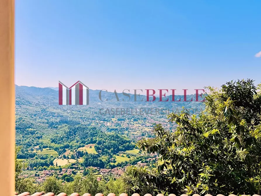Immagine 25 di Casa colonica in vendita  a Camaiore