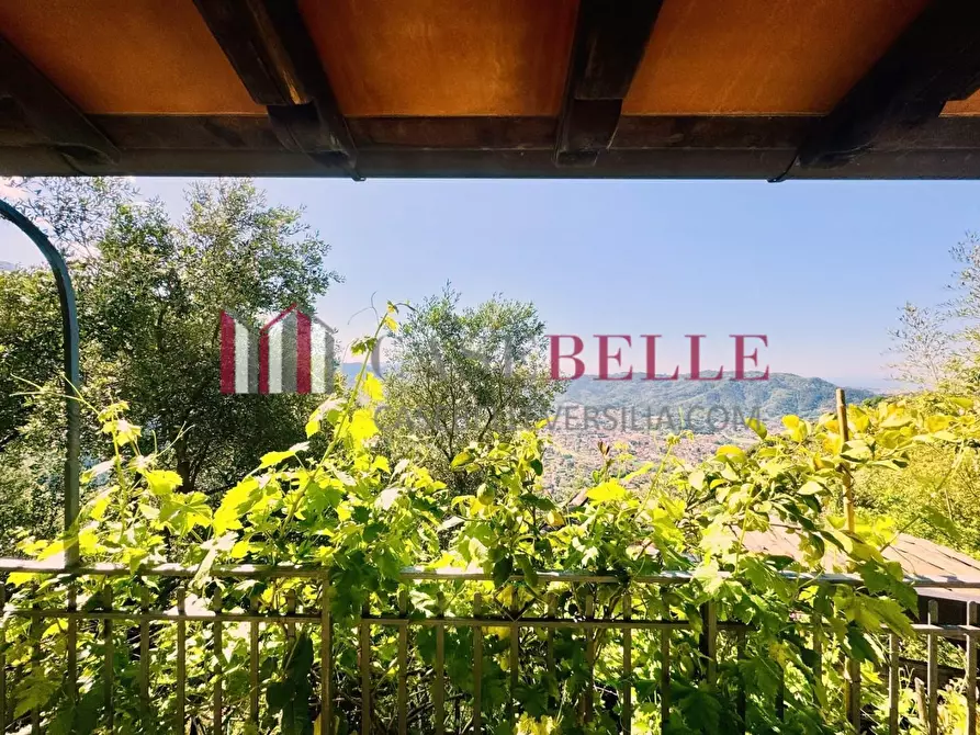 Immagine 42 di Casa colonica in vendita  a Camaiore