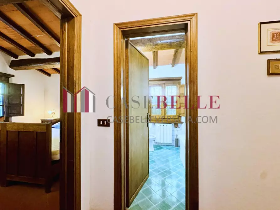 Immagine 27 di Casa colonica in vendita  a Camaiore