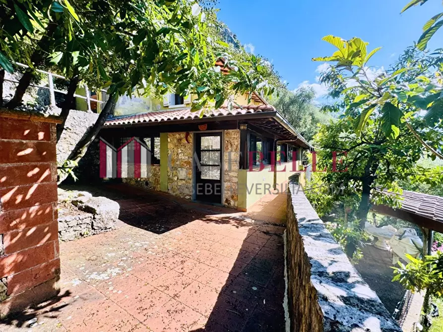 Immagine 1 di Casa colonica in vendita  a Camaiore