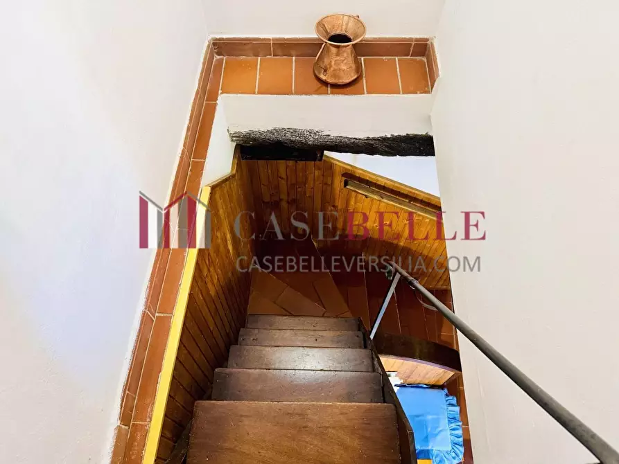 Immagine 41 di Casa colonica in vendita  a Camaiore