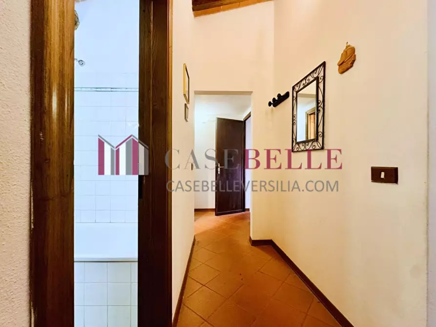 Immagine 30 di Casa colonica in vendita  a Camaiore