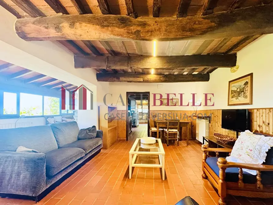 Immagine 10 di Casa colonica in vendita  a Camaiore