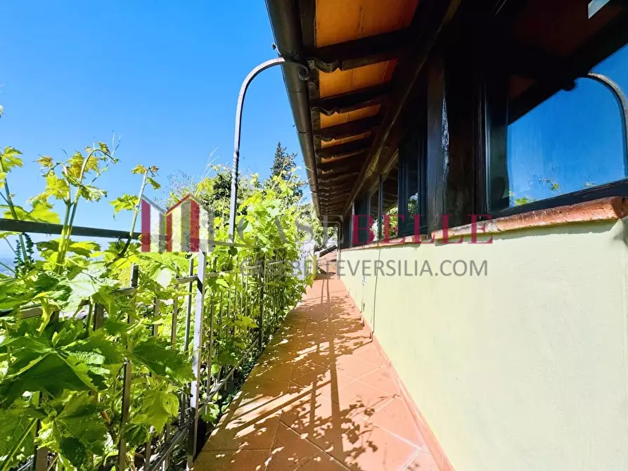 Immagine 43 di Casa colonica in vendita  a Camaiore