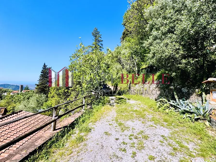 Immagine 59 di Casa colonica in vendita  a Camaiore