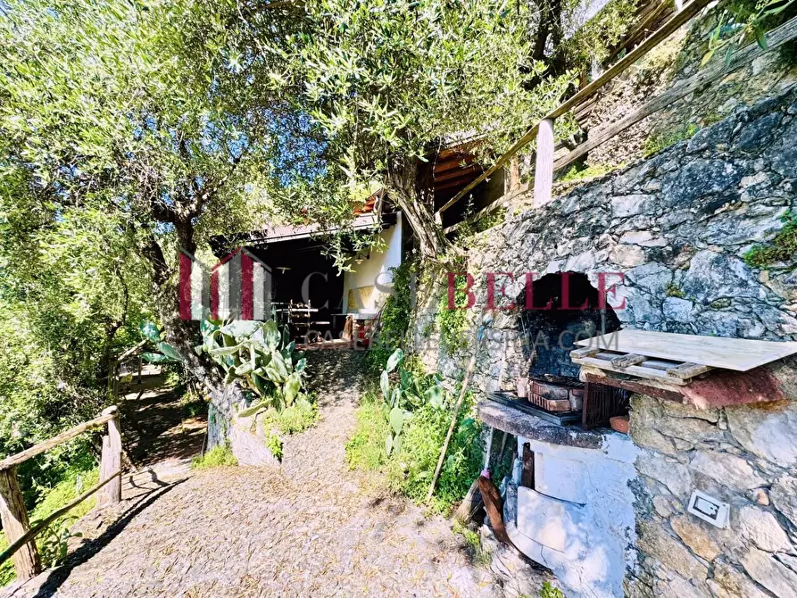 Immagine 54 di Casa colonica in vendita  a Camaiore
