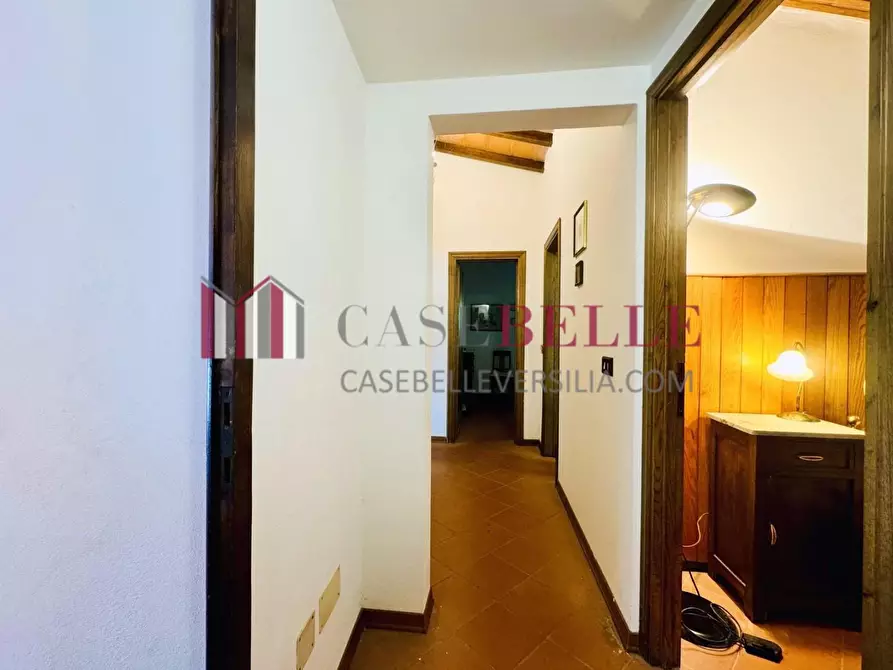 Immagine 40 di Casa colonica in vendita  a Camaiore