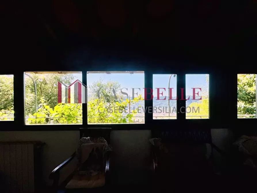 Immagine 6 di Casa colonica in vendita  a Camaiore