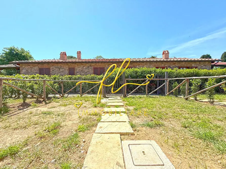Immagine 14 di Terratetto in vendita  a Castagneto Carducci
