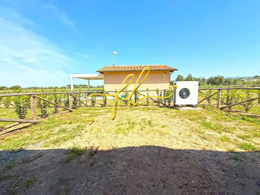 Immagine 13 di Terratetto in vendita  a Castagneto Carducci