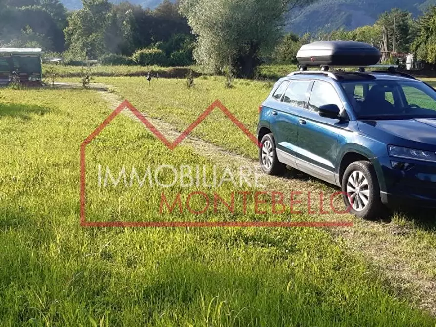 Immagine 2 di Terreno agricolo in vendita  a Camaiore