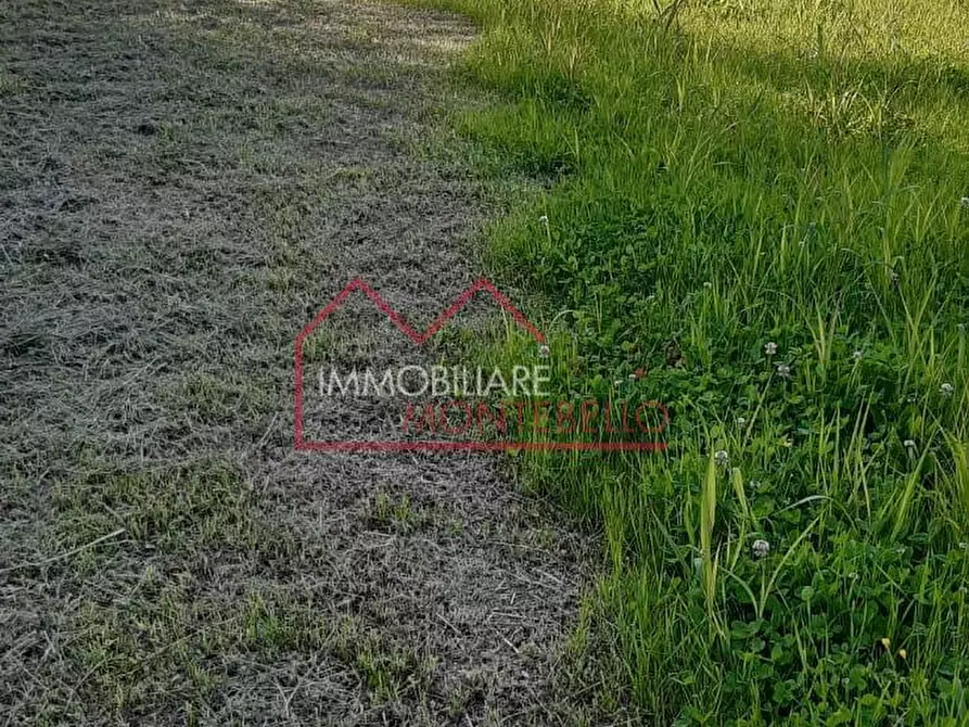 Immagine 1 di Terreno agricolo in vendita  a Camaiore