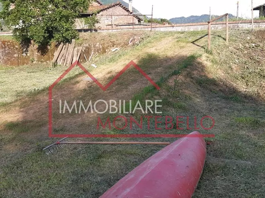Immagine 3 di Terreno agricolo in vendita  a Camaiore