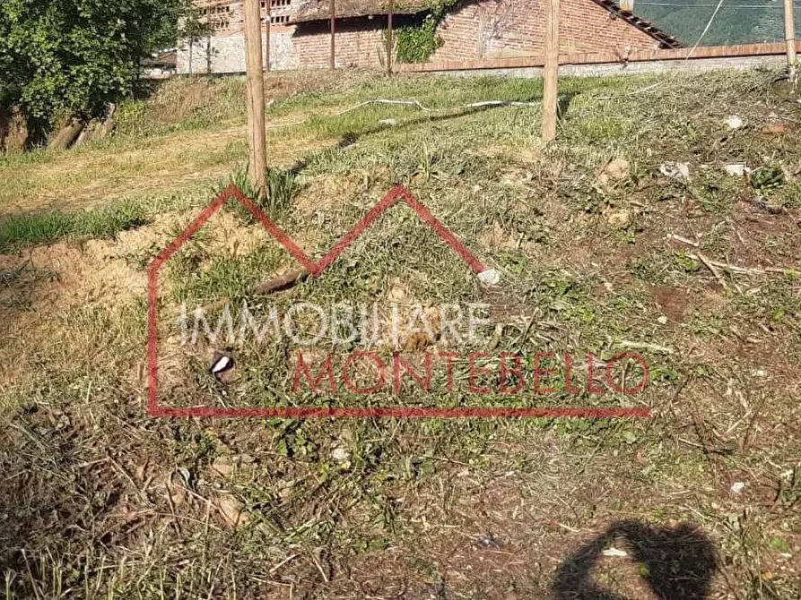 Immagine 4 di Terreno agricolo in vendita  a Camaiore