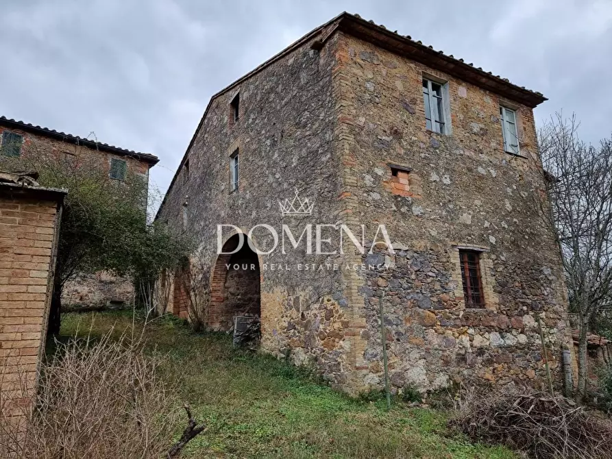 Immagine 4 di Casa colonica in vendita  a Monticiano