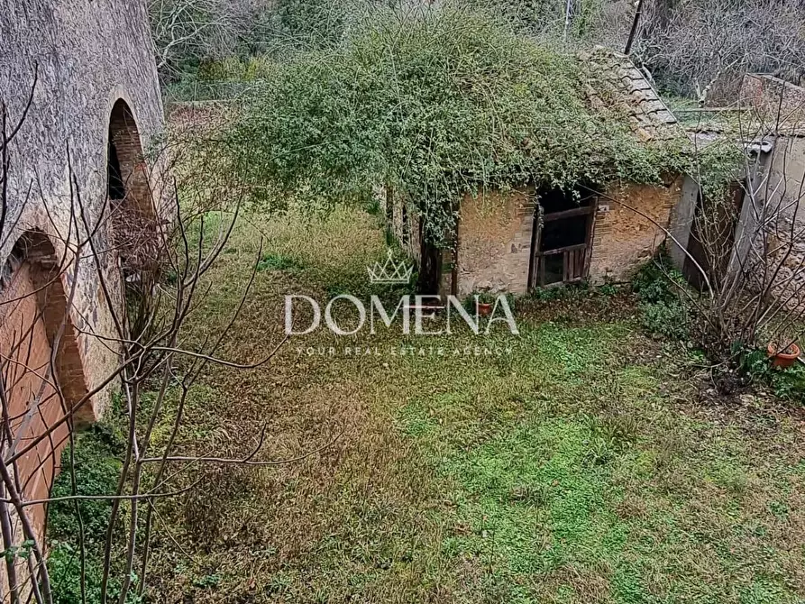 Immagine 6 di Casa colonica in vendita  a Monticiano