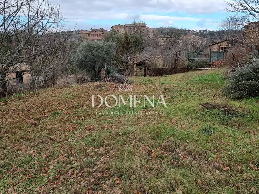 Immagine 9 di Casa colonica in vendita  a Monticiano