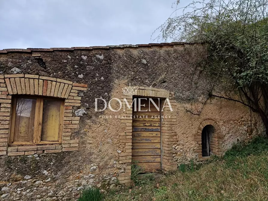 Immagine 5 di Casa colonica in vendita  a Monticiano