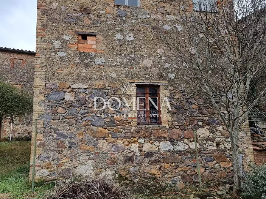 Immagine 3 di Casa colonica in vendita  a Monticiano