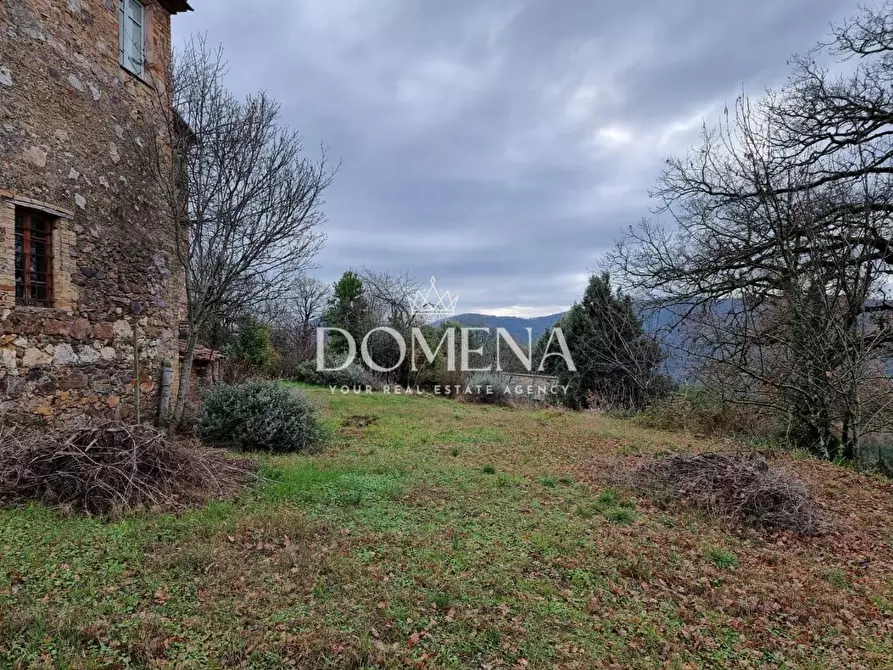 Immagine 8 di Casa colonica in vendita  a Monticiano