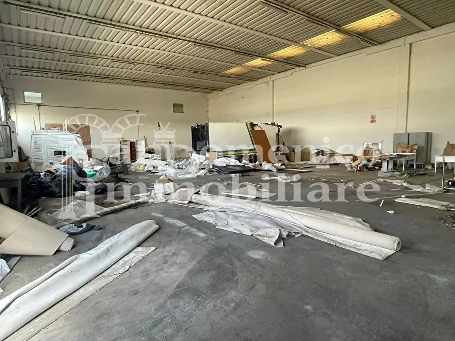 Immagine 4 di Attività artigianale in vendita  a Buti