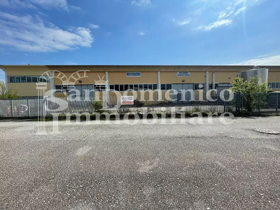 Immagine 2 di Attività artigianale in vendita  a Buti