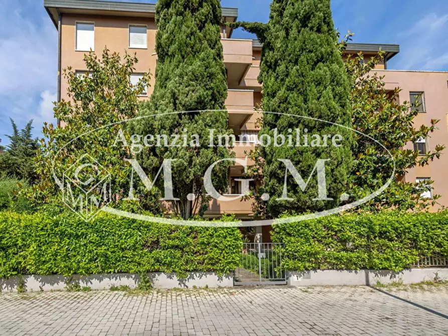 Immagine 5 di Mansarda in vendita  a Pontedera