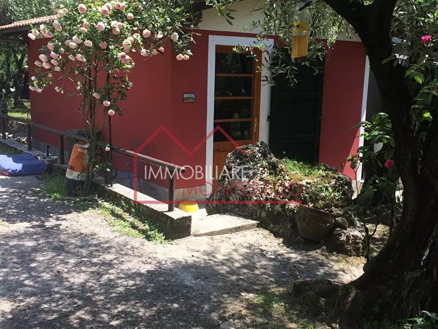 Immagine 1 di Terreno agricolo in vendita  a Camaiore