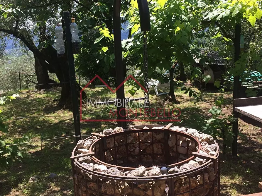 Immagine 3 di Terreno agricolo in vendita  a Camaiore
