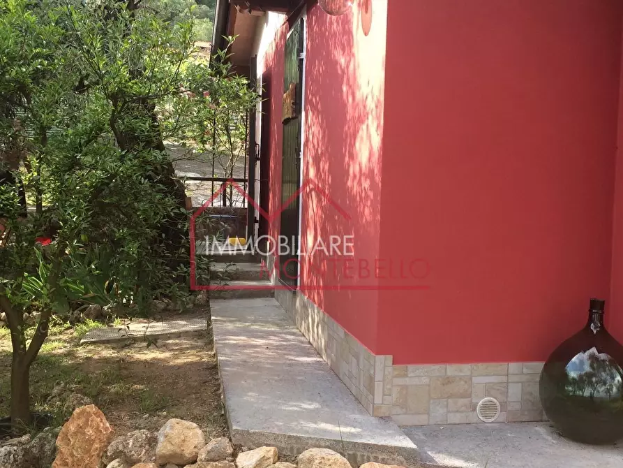 Immagine 5 di Terreno agricolo in vendita  a Camaiore