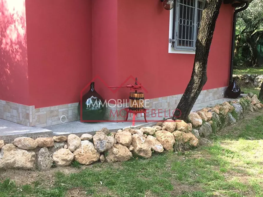 Immagine 4 di Terreno agricolo in vendita  a Camaiore