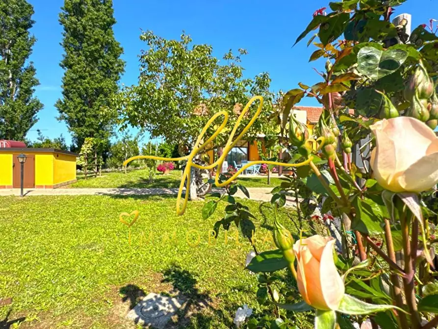 Immagine 25 di Casa bifamiliare in vendita  a Campiglia Marittima