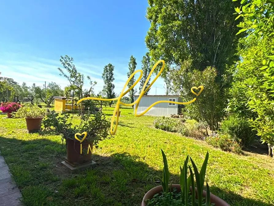 Immagine 28 di Casa bifamiliare in vendita  a Campiglia Marittima