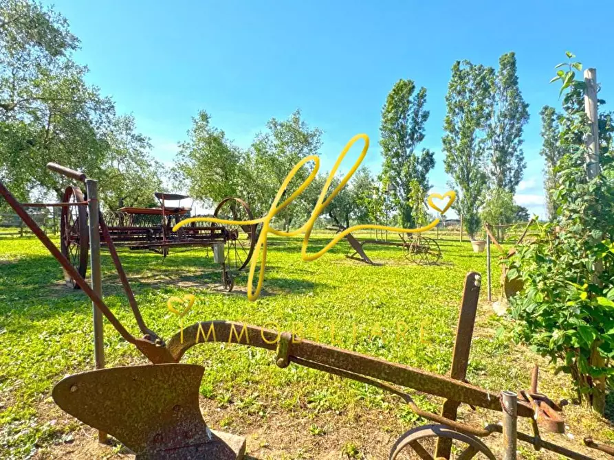 Immagine 24 di Casa bifamiliare in vendita  a Campiglia Marittima