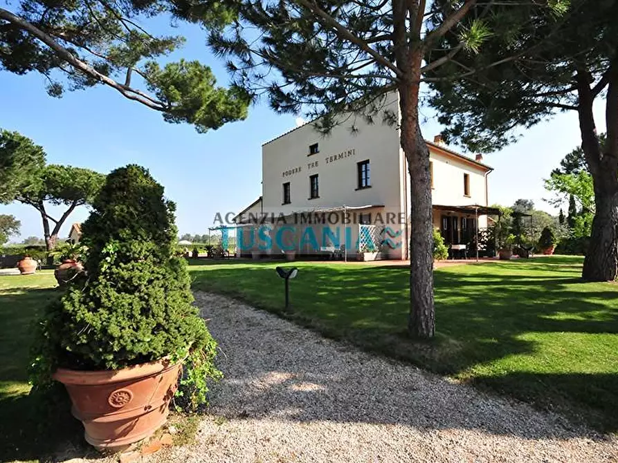 Immagine 7 di Appartamento in vendita  a Cecina
