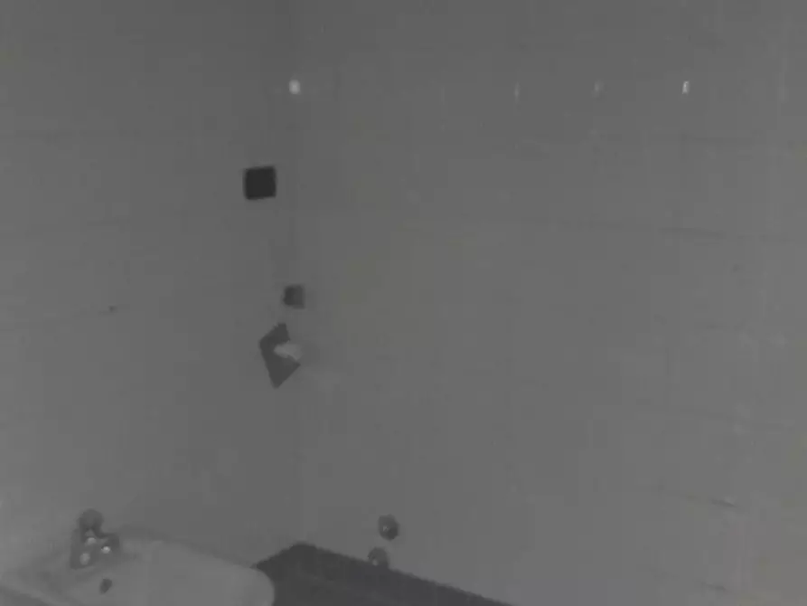 Immagine 4 di Appartamento in vendita  a Pontedera