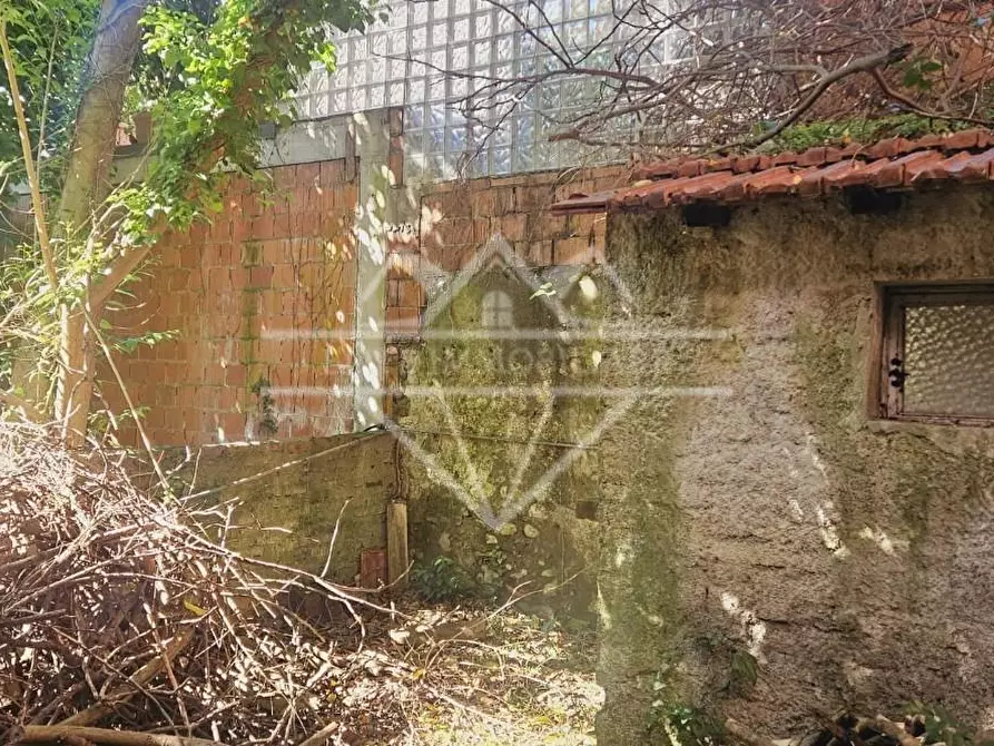 Immagine 2 di Terratetto in vendita  a Carrara