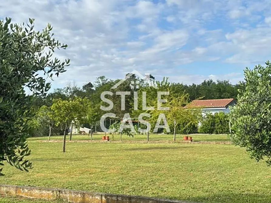 Immagine 3 di Terreno agricolo in vendita  a Castelfranco Di Sotto