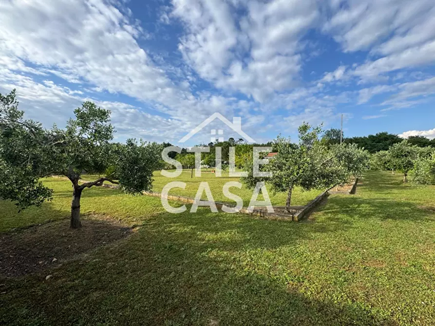 Immagine 5 di Terreno agricolo in vendita  a Castelfranco Di Sotto