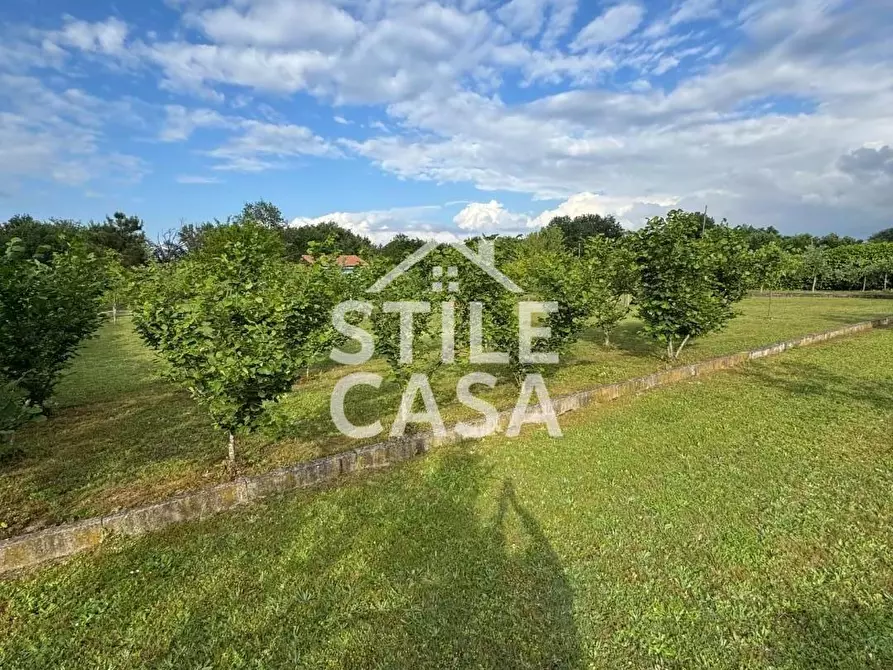 Immagine 7 di Terreno agricolo in vendita  a Castelfranco Di Sotto