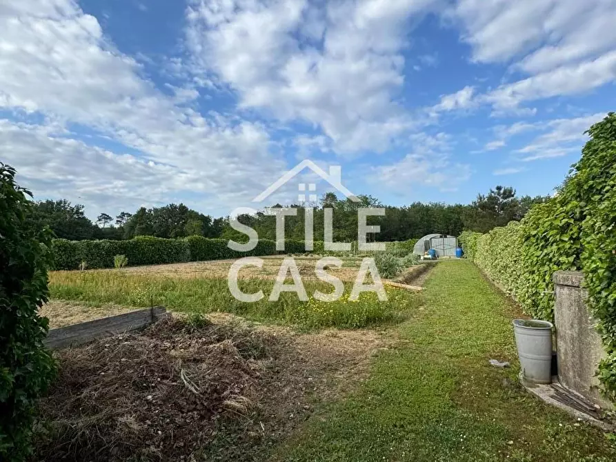 Immagine 11 di Terreno agricolo in vendita  a Castelfranco Di Sotto