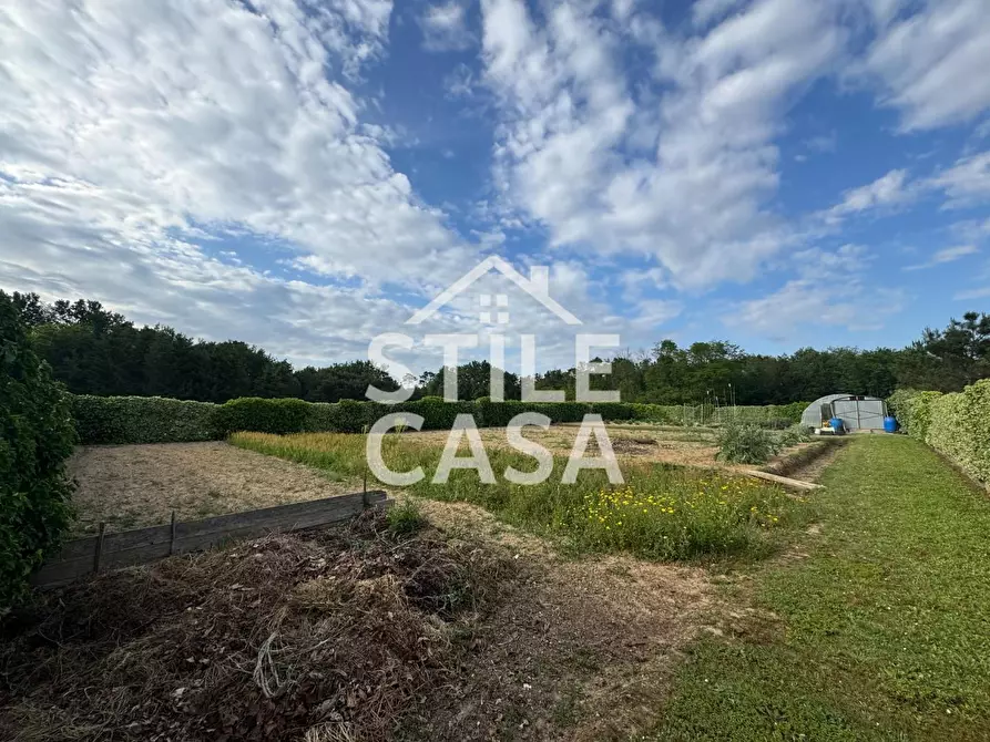 Immagine 13 di Terreno agricolo in vendita  a Castelfranco Di Sotto